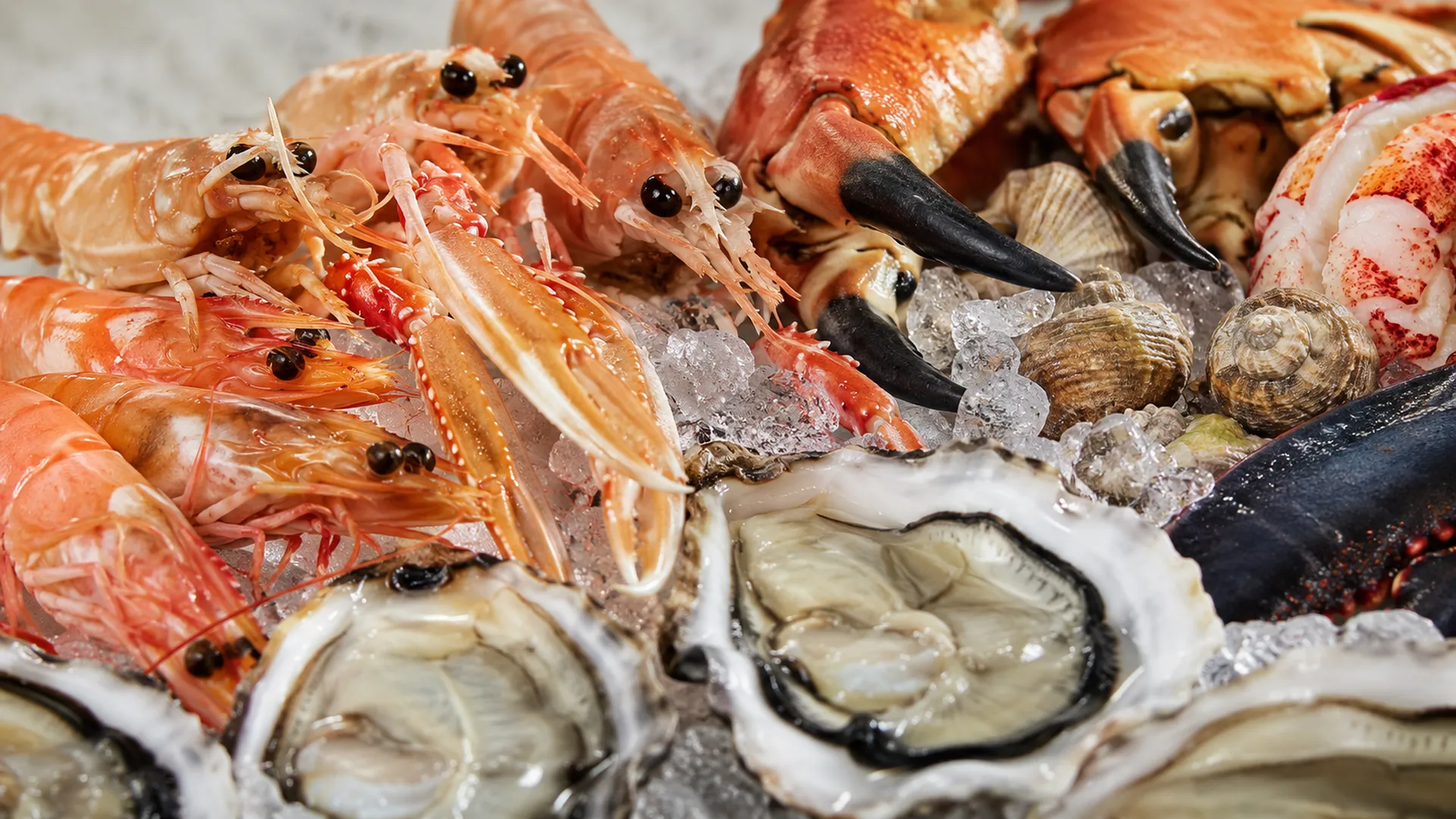 Plateau de fruits de mer
