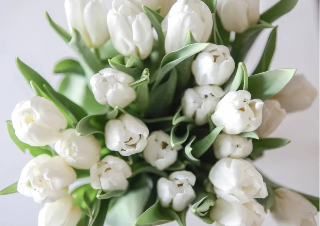 Un bouquet de mariage sur le thème Mariage Blanc, Mariage Elégant par votre wedding planner My Event' by Jenny à Bordeaux en Gironde