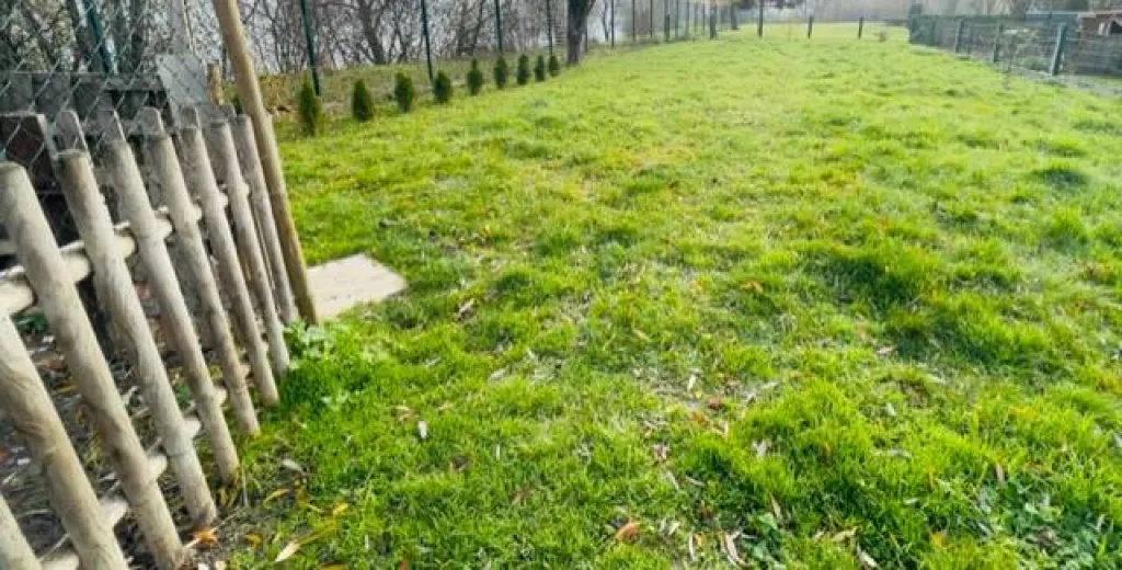 terrain exposé plein sud 76800