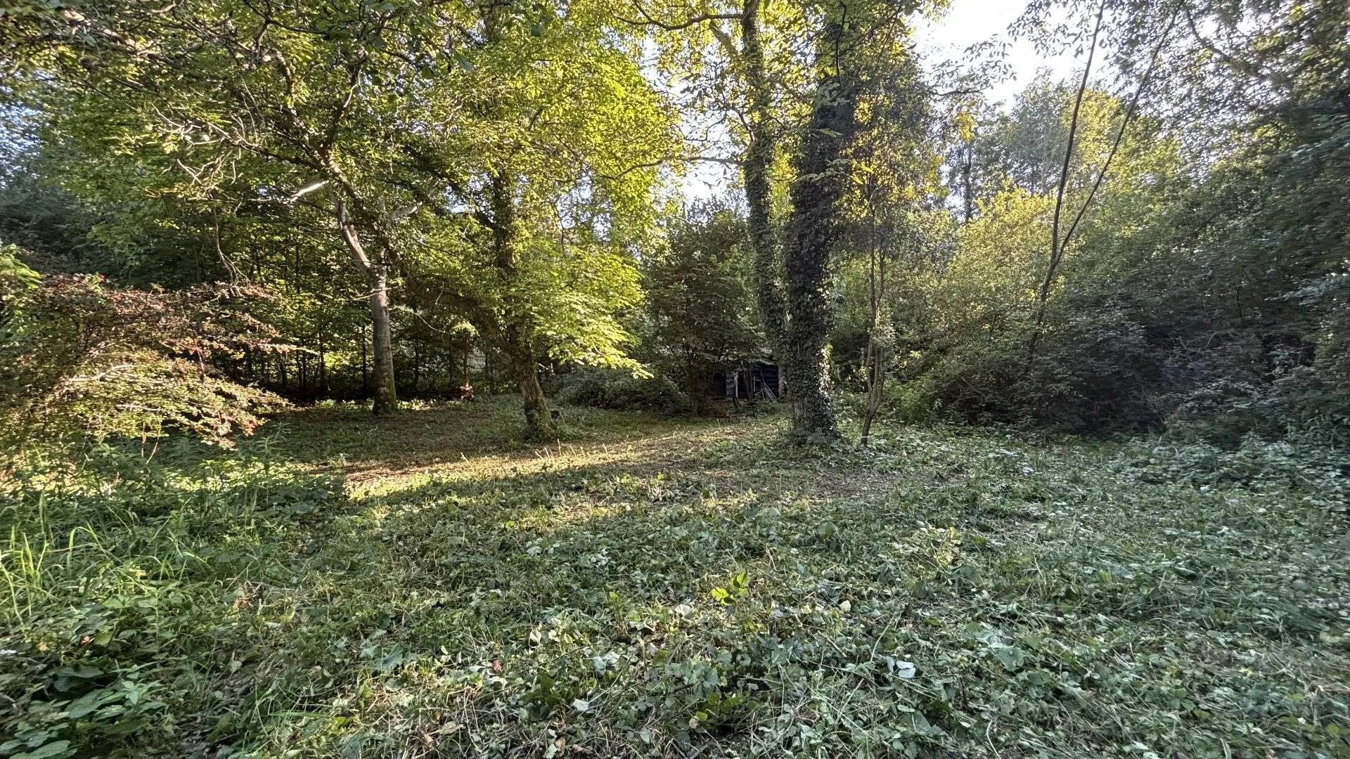 A vendre terrain isolé avec du bois