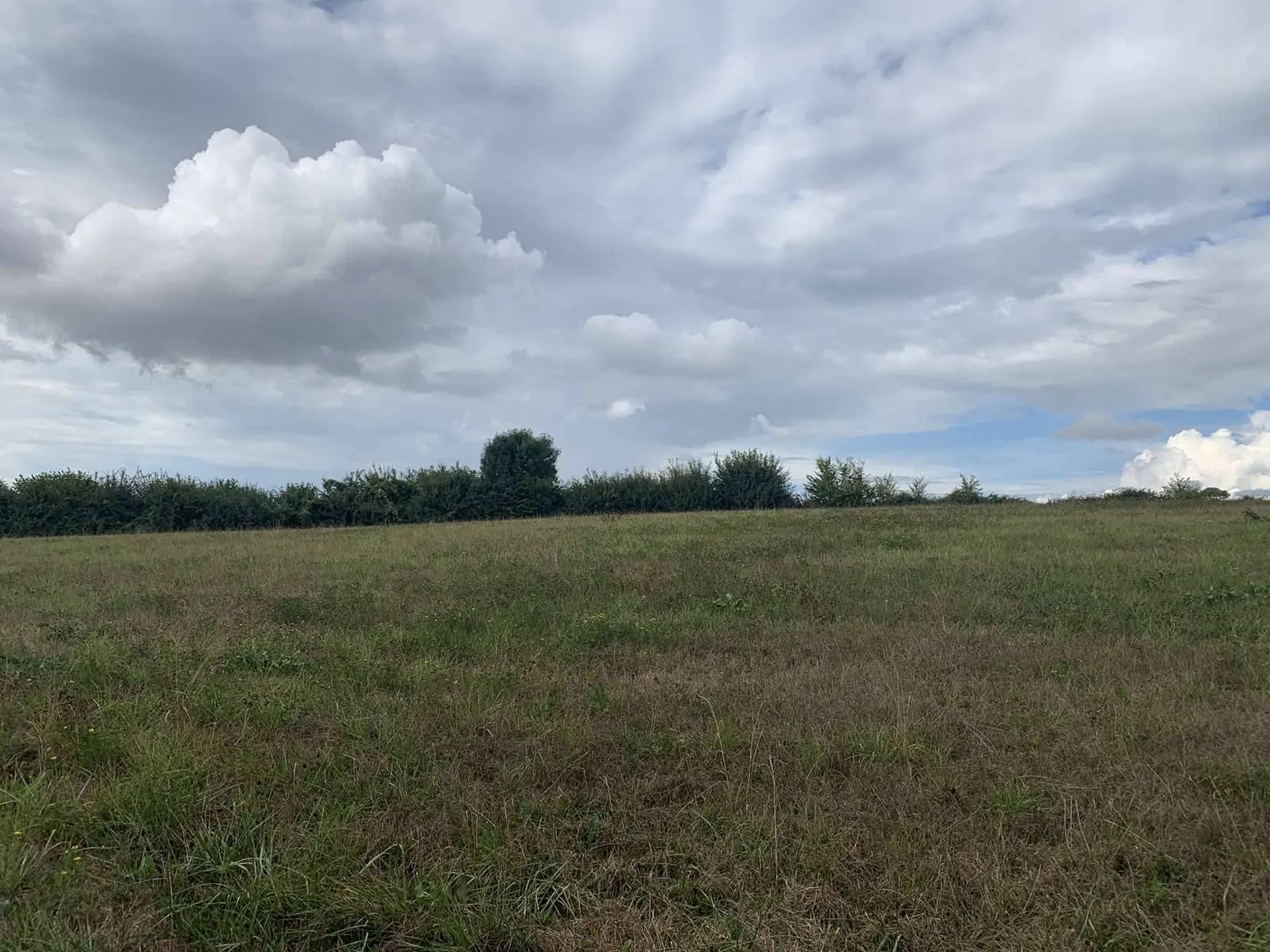 SUD PAYS D'AUGE CALVADOS  A VENDRE TERRAIN AGRICOLE DE 4 HA 70 A