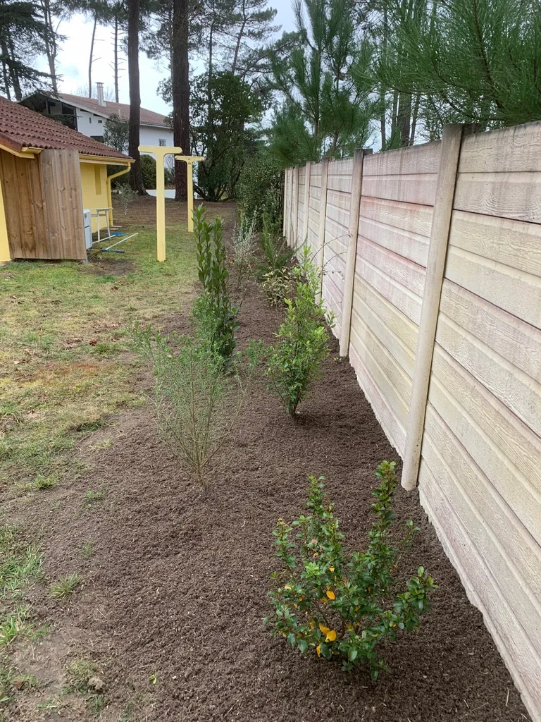 Choisir la bonne entreprise pour créer une clôture végétale à Mimizan