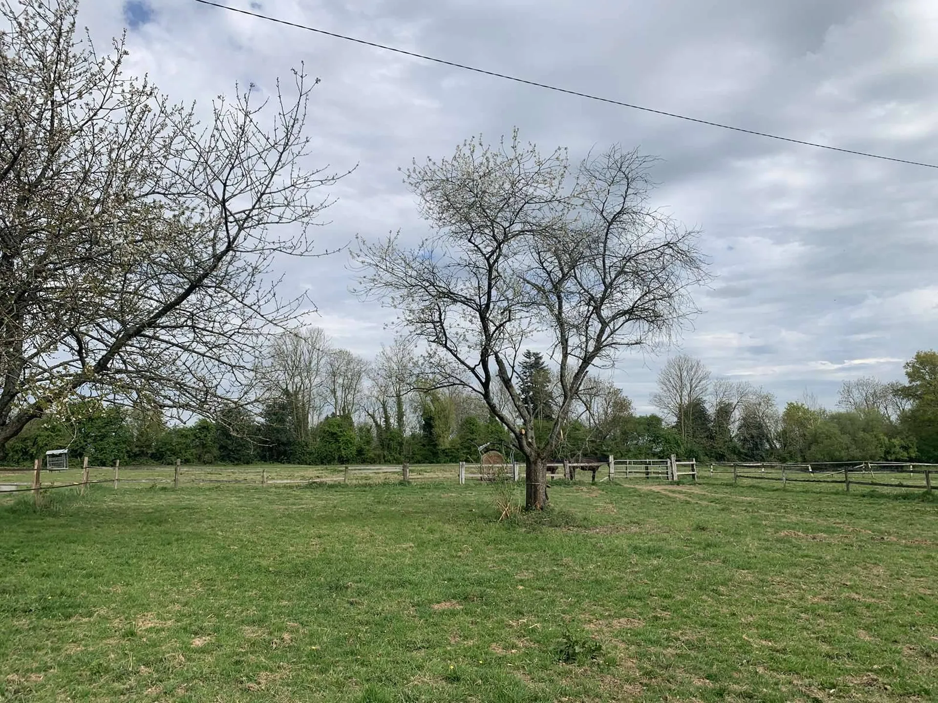 Région de BERNAY (27300) une propriété de 3 HA 80 A avec une maison de caractère et un bâtiment agricole