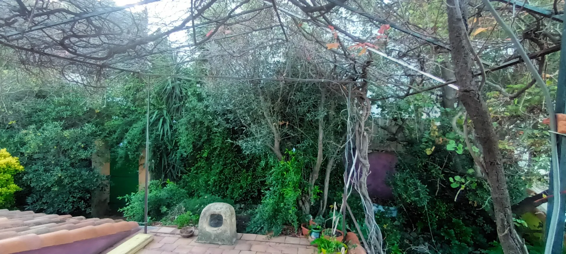 Défrichage pour travaux. 