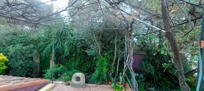 Défrichage pour travaux. 