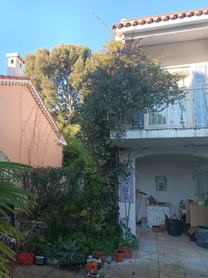 Taille d'un  Bougainvillier sur la commune de la Ciotat