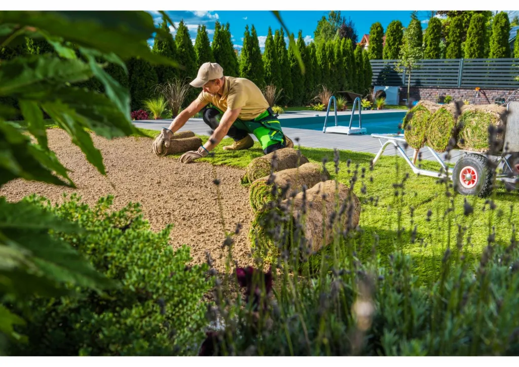 Pose de gazon naturel en rouleau dans le Gard