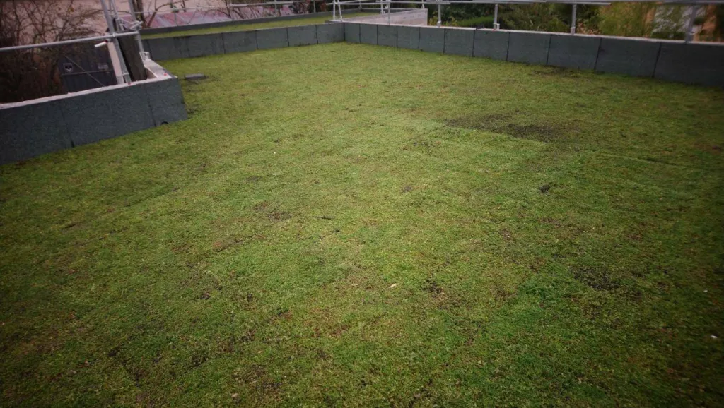 Toiture-terrasse végétalisée