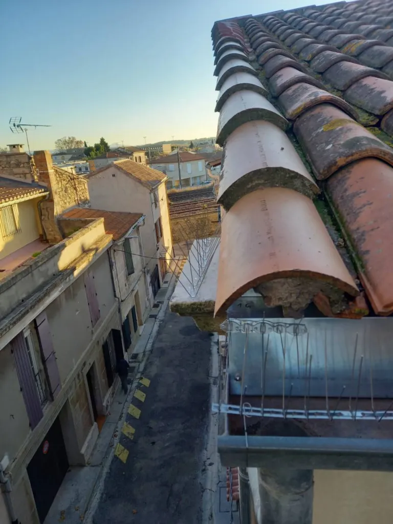 piques anti pigeons st martin de crau