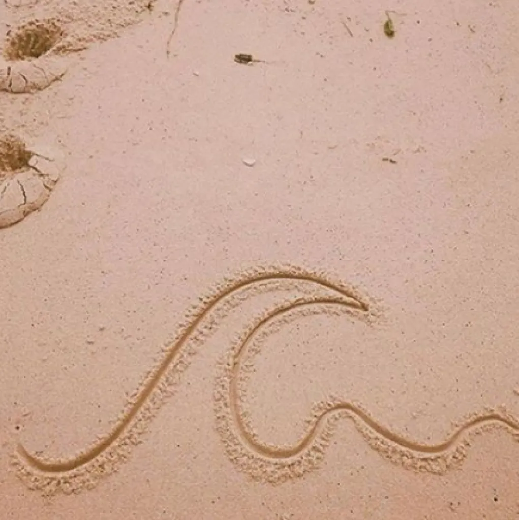 Les maillots Eres sont intemporels, élégants pour des femmes sures de leur féminité.