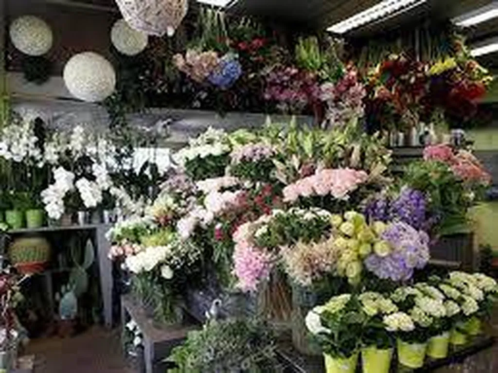 Fleuriste 83400 Hyères centre-ville Florathèque