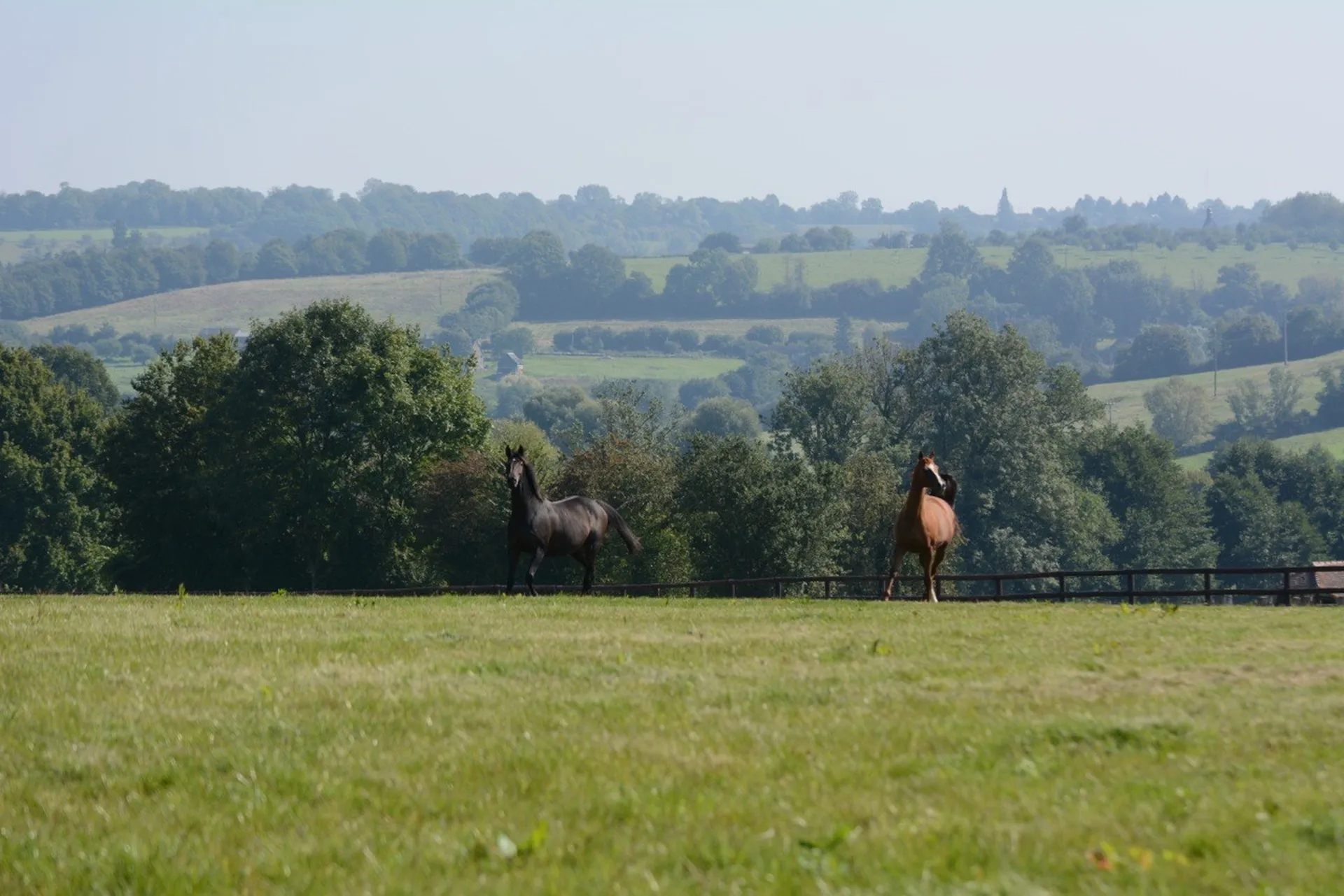 DOMAINES DE PREPARATIONS AUX VENTE DE PUR-SANG