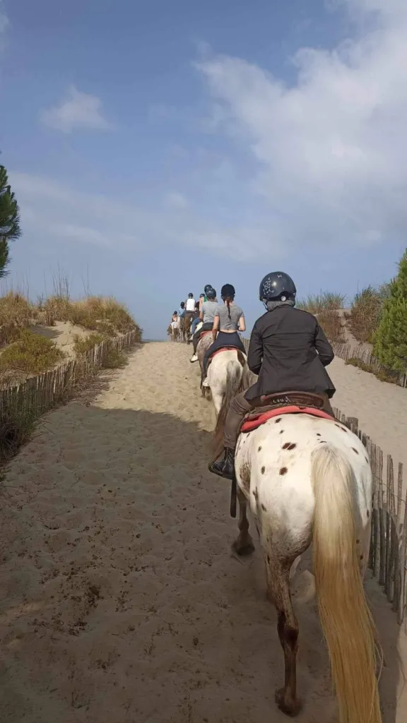 balade cheval en groupe 