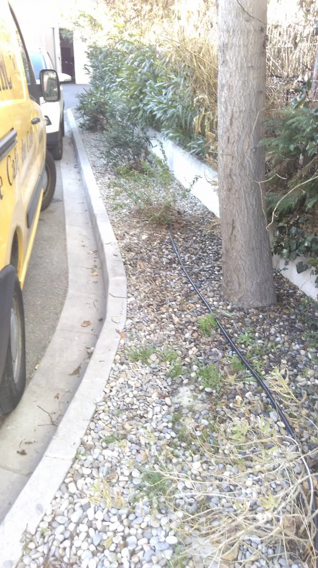 Création et Aménagements de Jardins pour les Entreprises sur Marseille