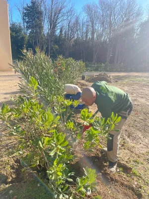 Restauration d'un jardin à Villeneuve-lès-Avignon par un paysagiste expert