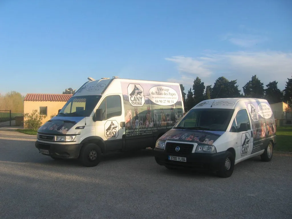 TAXI de transport félin à avignon dans le vaucluse