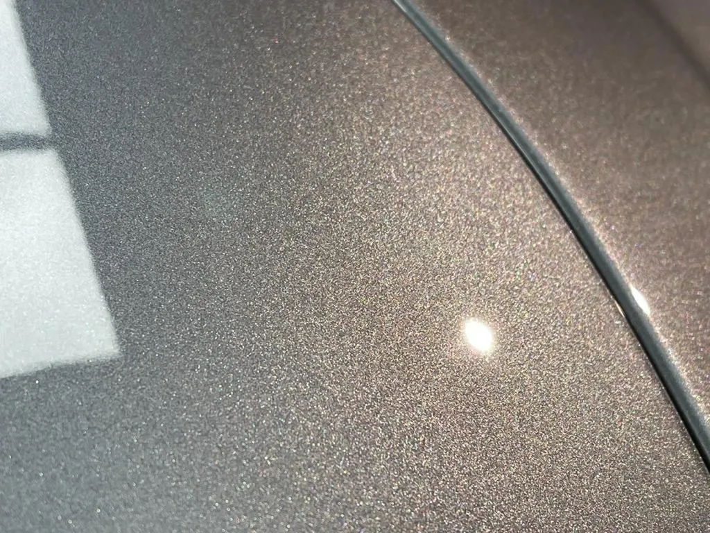 ALPINE A110 GT PROTECTION CÉRAMIQUE À CARNOUX EN PROVENCE