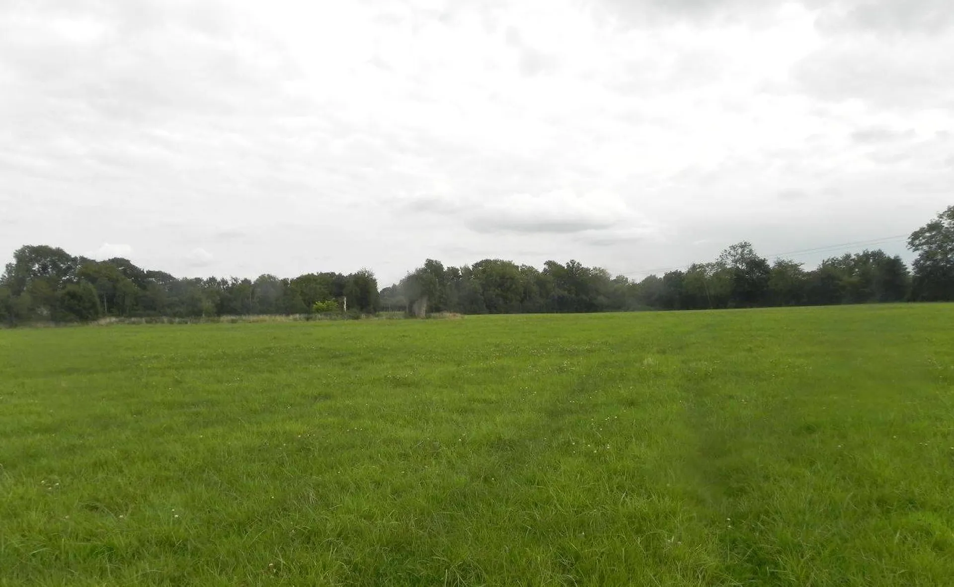 Rare à la vente, Terres Agricoles d'environ 7 hectares à vendre dans la région de Sainte Marguerite des Loges 14140.