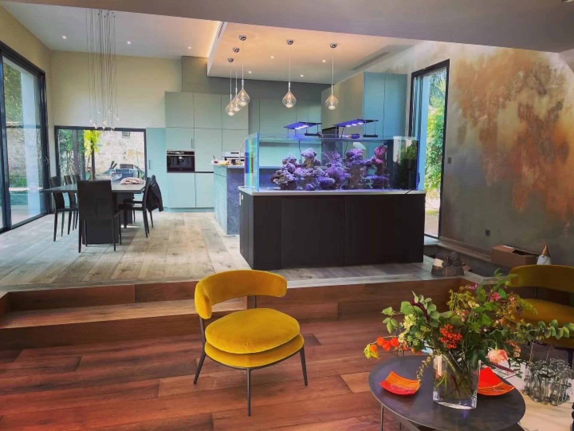 Vue d'ensemble aquarium dardilly