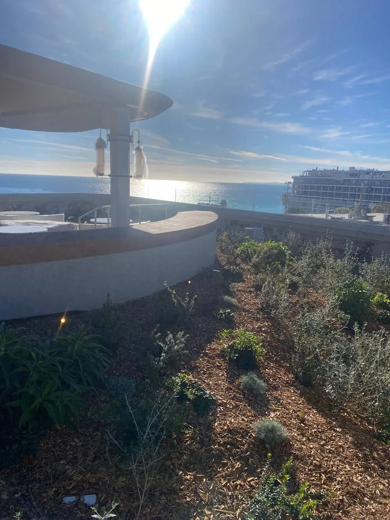 Aménagement d'espaces verts sur toiture à Nice place massena