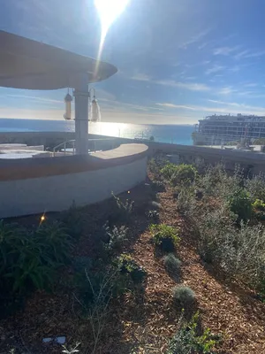 Aménagement d'espaces verts sur toiture à Nice place massena