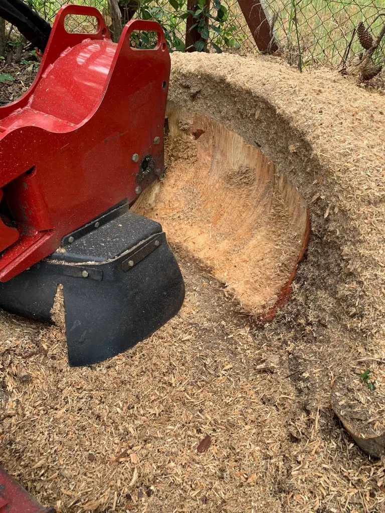 Trouver un jardinier pour rogner les souches d’arbres