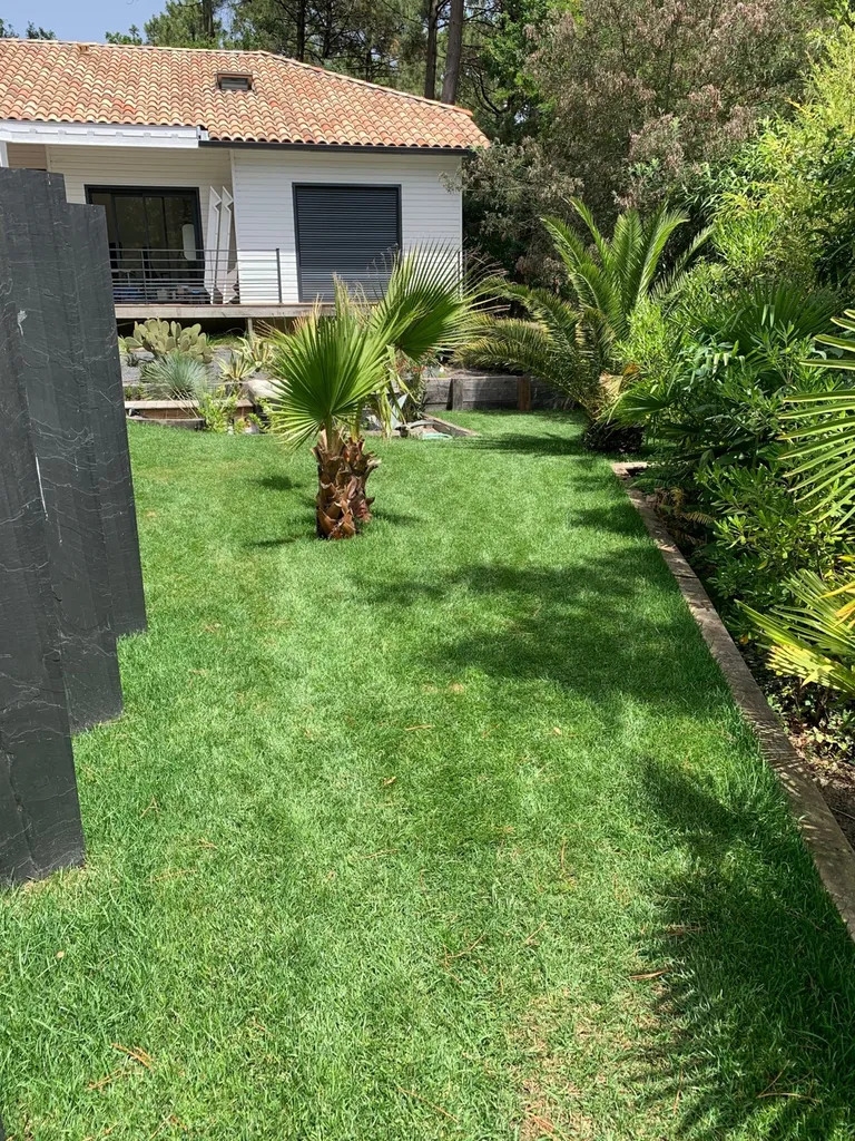 Trouver un pro de la création de gazon en rouleau pour les terrains situés à Biscarrosse