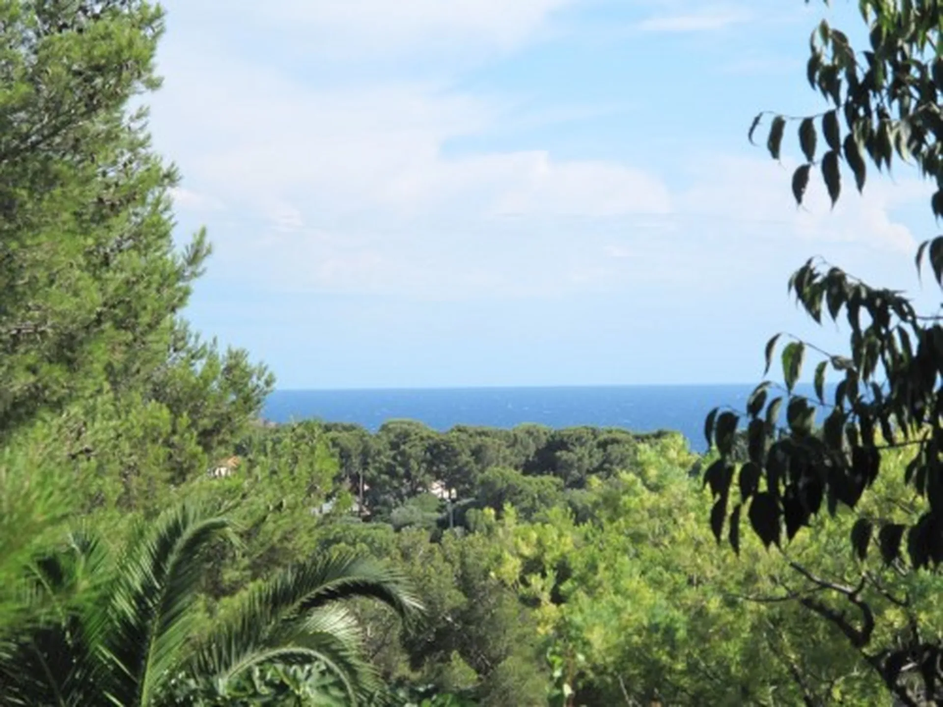 Vente villa  5 Cassis avec studio indépendant