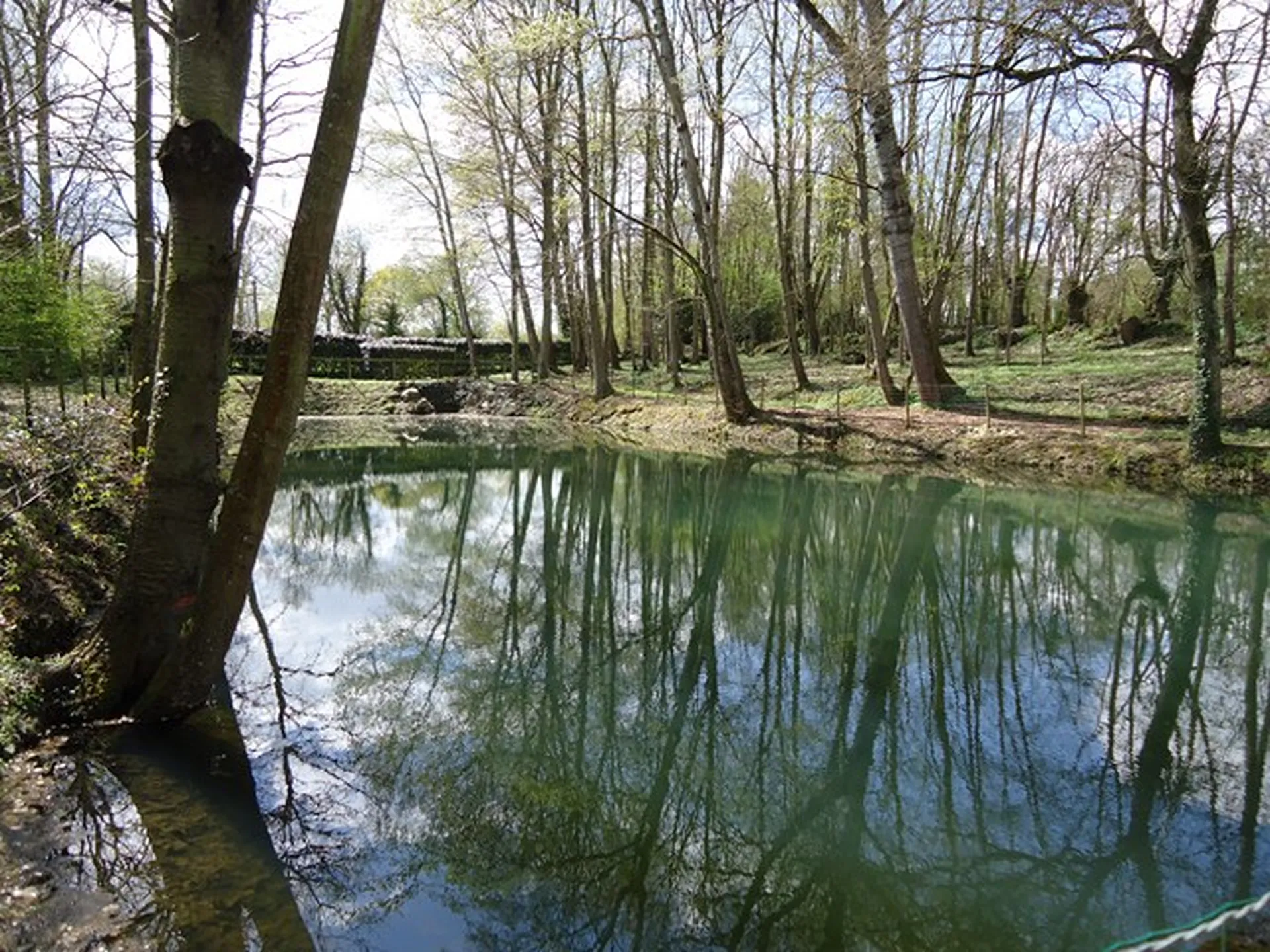 AGENCE IMMOBILIERE DE LISIEUX