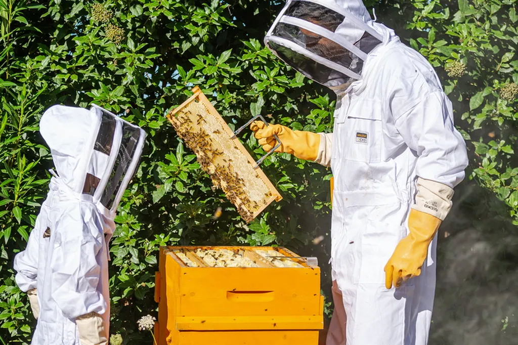 Matériel apiculture pour ruches élevage des abeilles production de miel entretien des colonies apiculteurs amateurs et professionnels équipement complet fiable