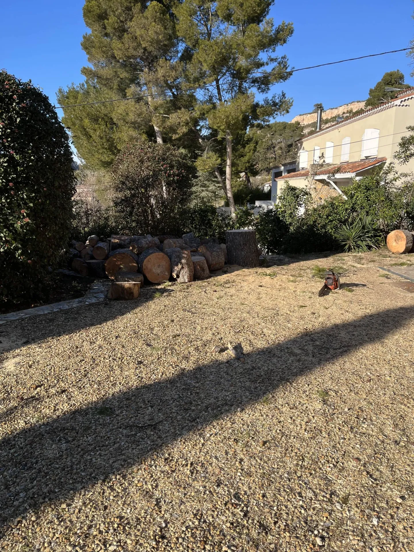 Artisan paysagiste pour demontage d arbre en technique de retention Vitrolles Artisan paysagiste pour demontage d arbre en technique de retention Vitrolles