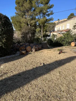 Artisan paysagiste pour demontage d arbre en technique de retention Vitrolles