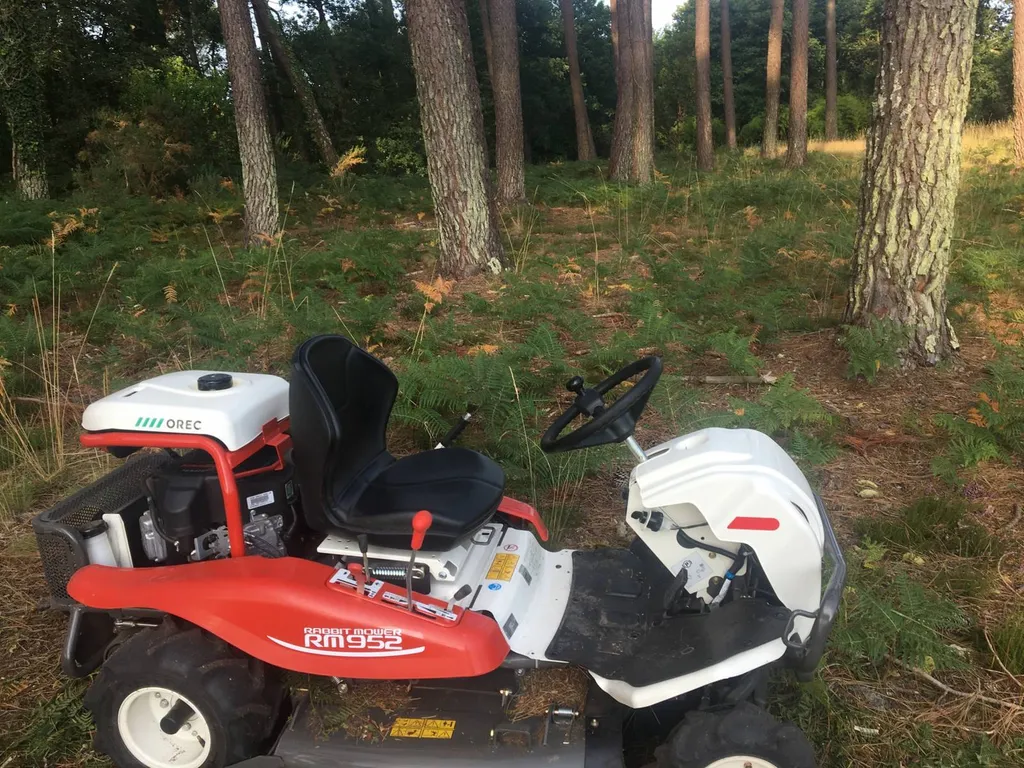 Professionnel du débroussaillage de terrain par des jardiniers paysagistes aux alentours de Biscarrosse