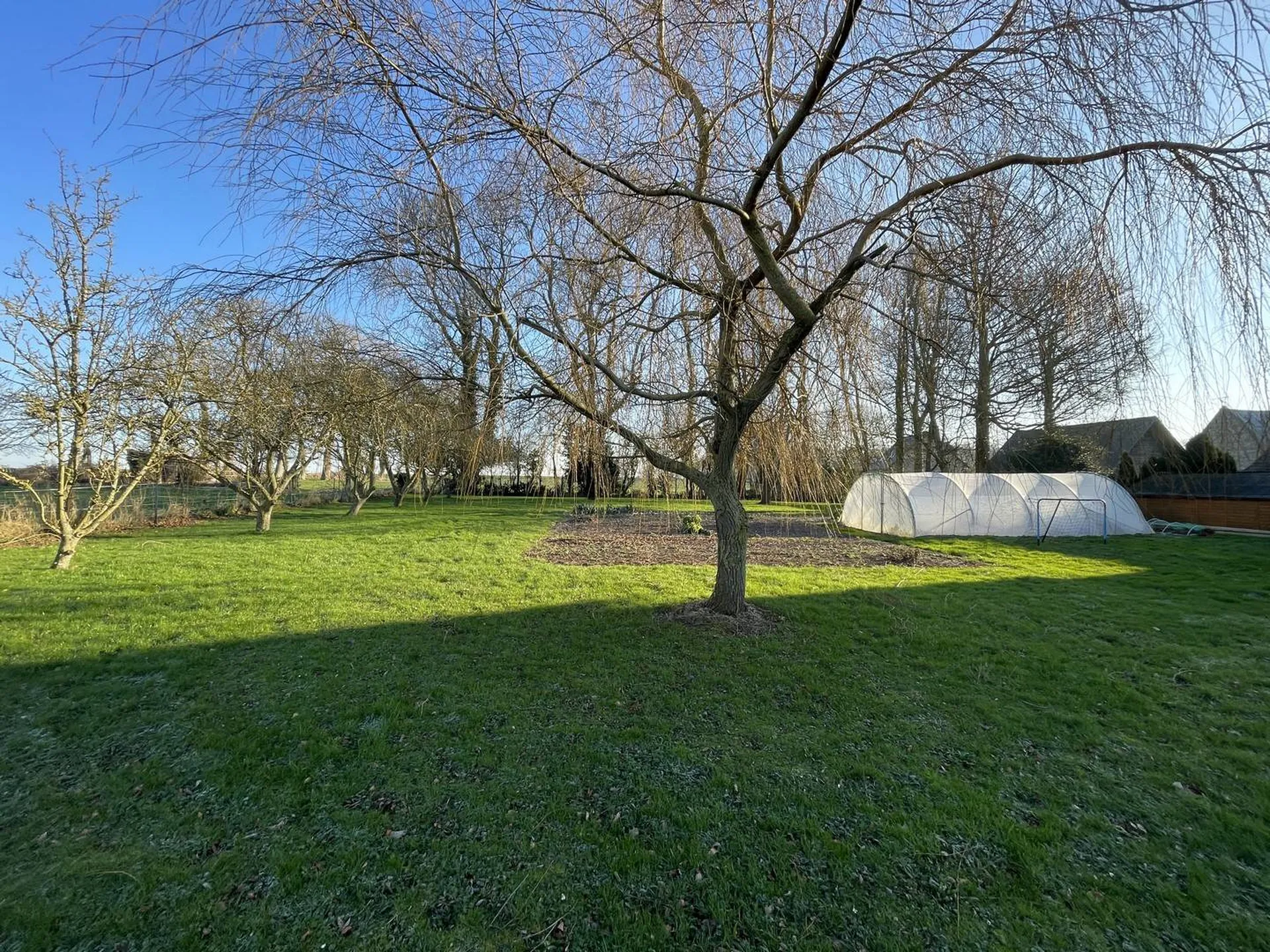 **Maison de Maître à vendre** : Située à proximité immédiate de Veules-les-Roses, avec accès rapide à la plage.