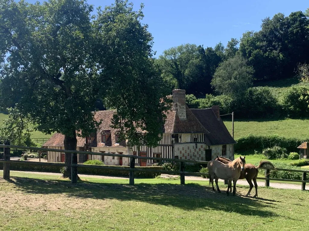 A VENDRE - dans le PAYS D’AUGE du CALVADOS, secteur LISIEUX, haras d’élevage de chevaux sur une surface de 48 ha.