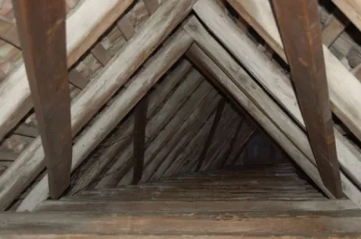 Diagnostic de termites dans les Yvelines