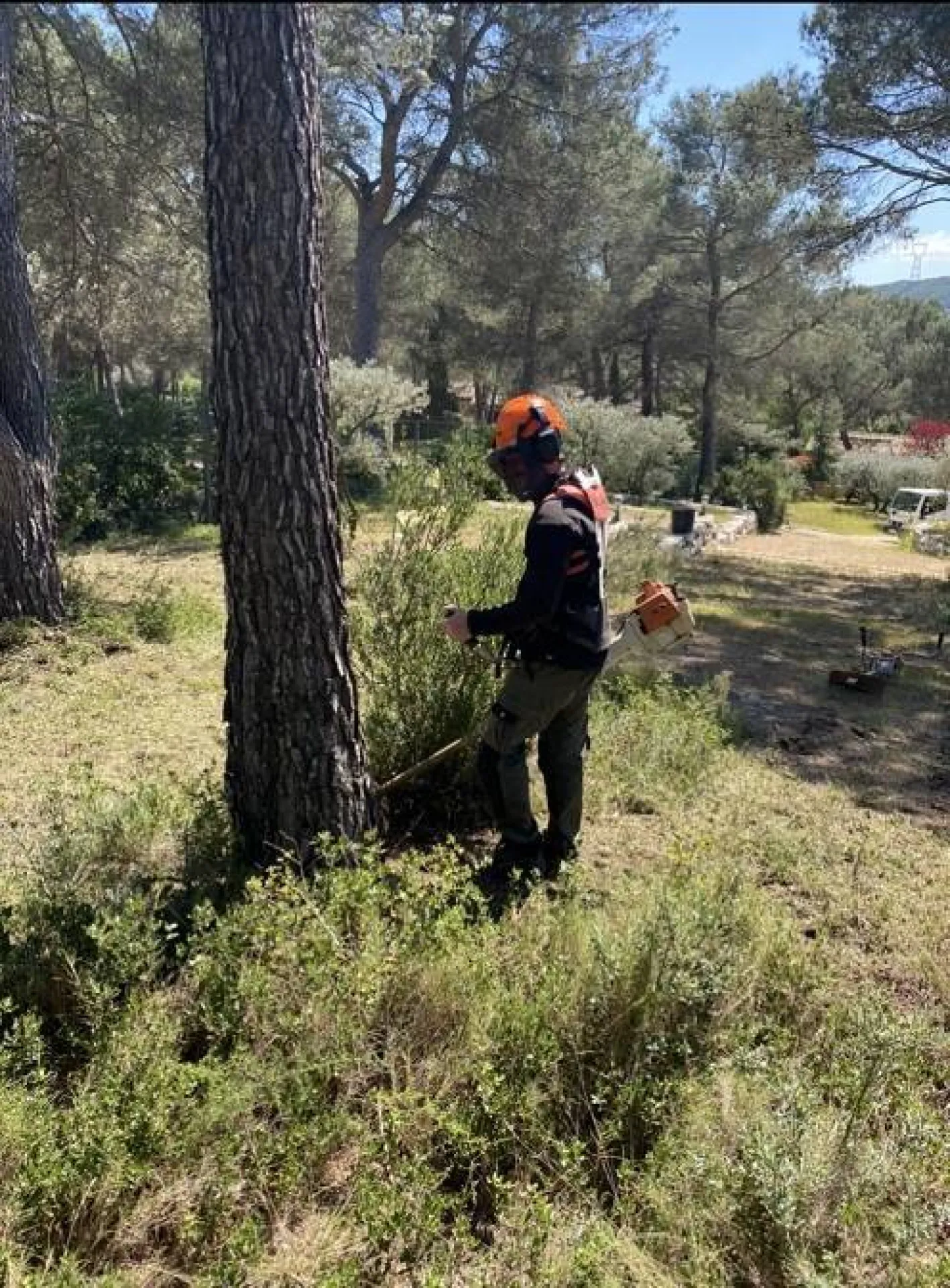 Faire débroussailler votre jardin par un paysagiste a Cabries Calas