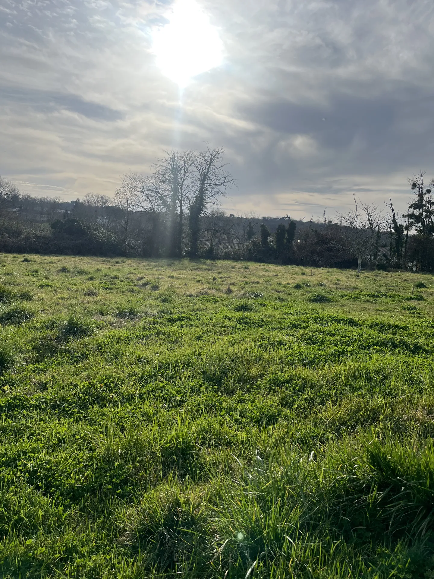 Magnifique terrain viabilisé de 1008 m² à Soulignac, situé dans un lieu calme dans la campagne Créonnaise