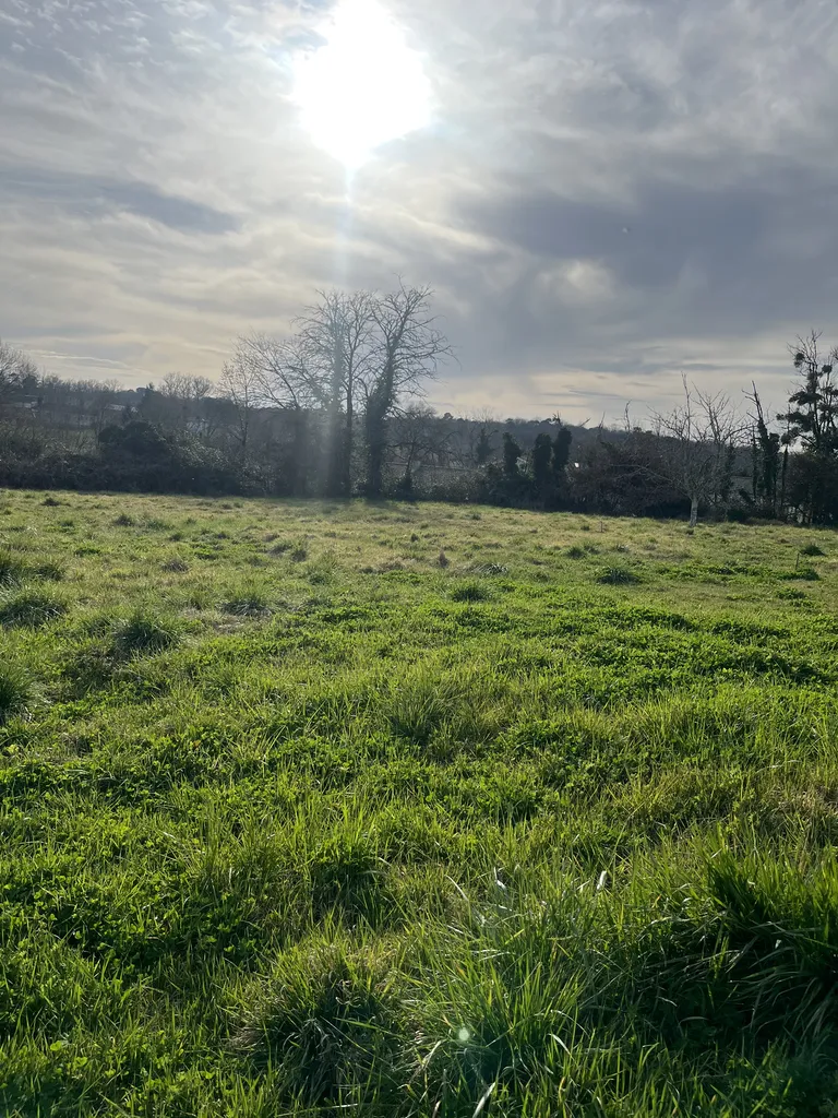 Magnifique terrain viabilisé de 1008 m² à Soulignac, situé dans un lieu calme dans la campagne Créonnaise
