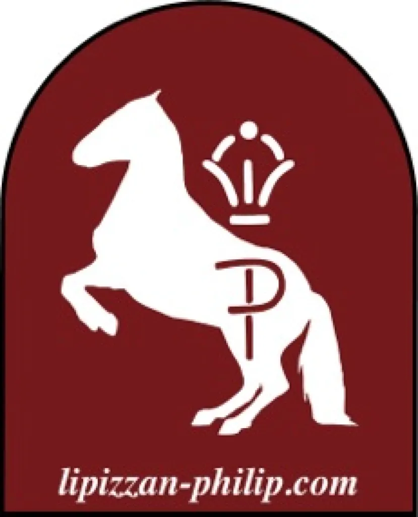 Elevage Vente chevaux Aix en Provence Lipizzan Philip