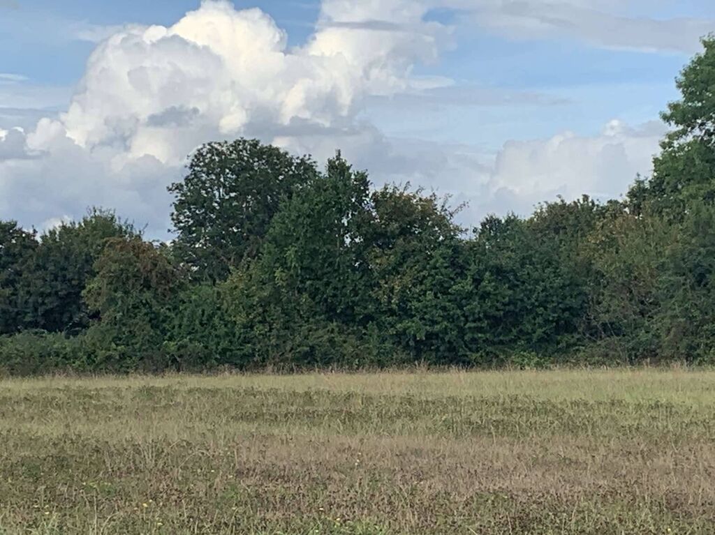 SUD PAYS D'AUGE CALVADOS  A VENDRE TERRAIN AGRICOLE DE 4 HA 70 A