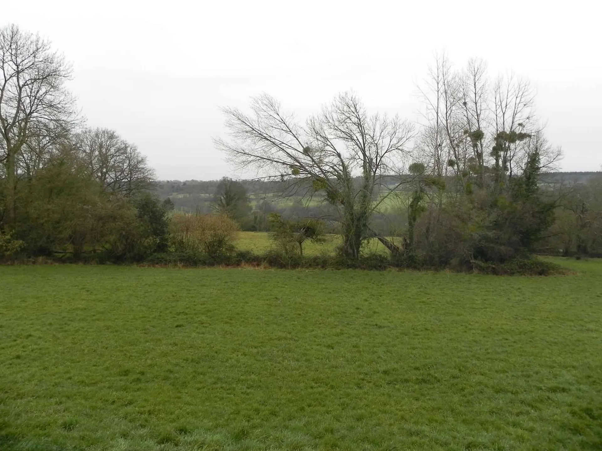 A vendre Région LISIEUX (CALVADOS) dans la campagne du PAYS d'AUGE