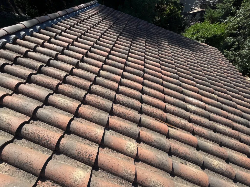 Couvreur pour nettoyage de tuile Bouc-Bel-Air 13320