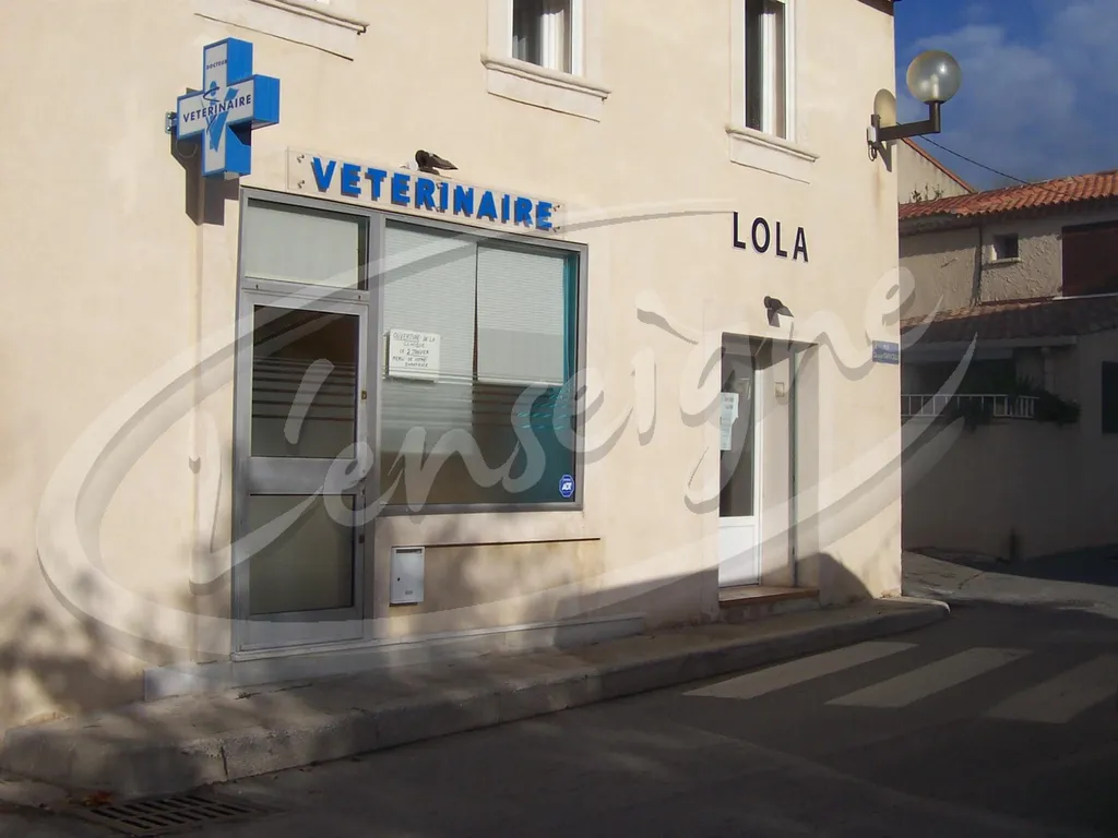 enseigne pour vétérinaire vitrolles