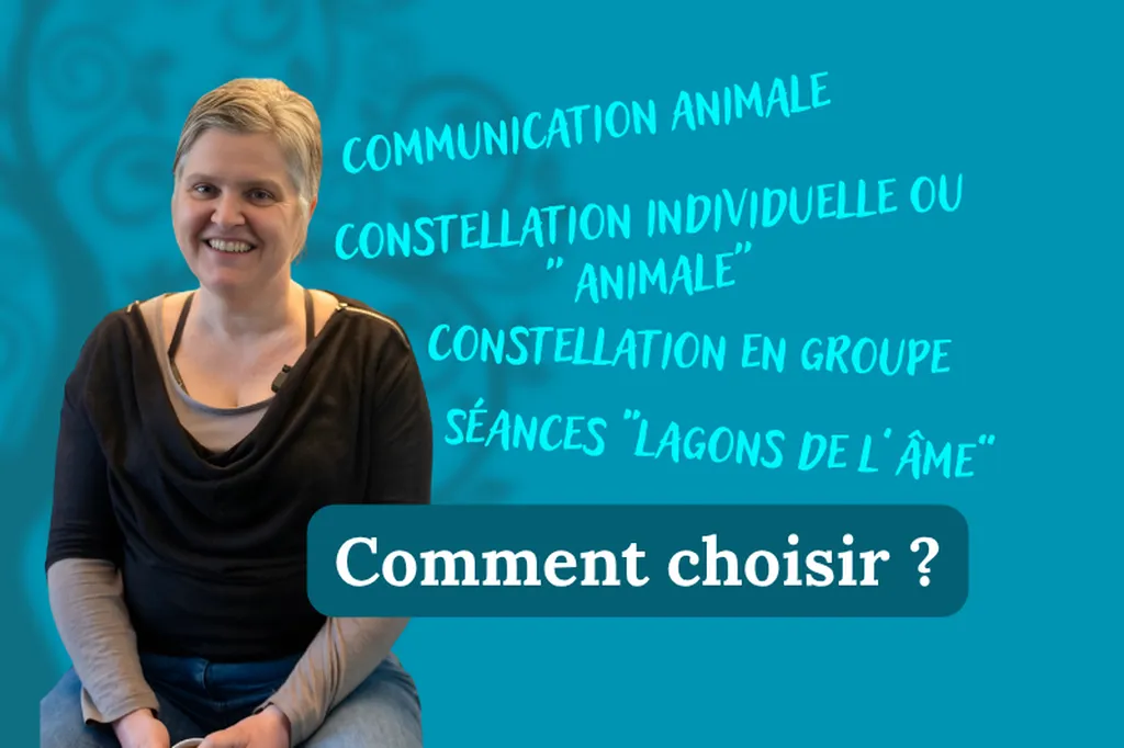 Valérie Guillet explique la constellation animales intuitives et s'adapte à chaque histoires