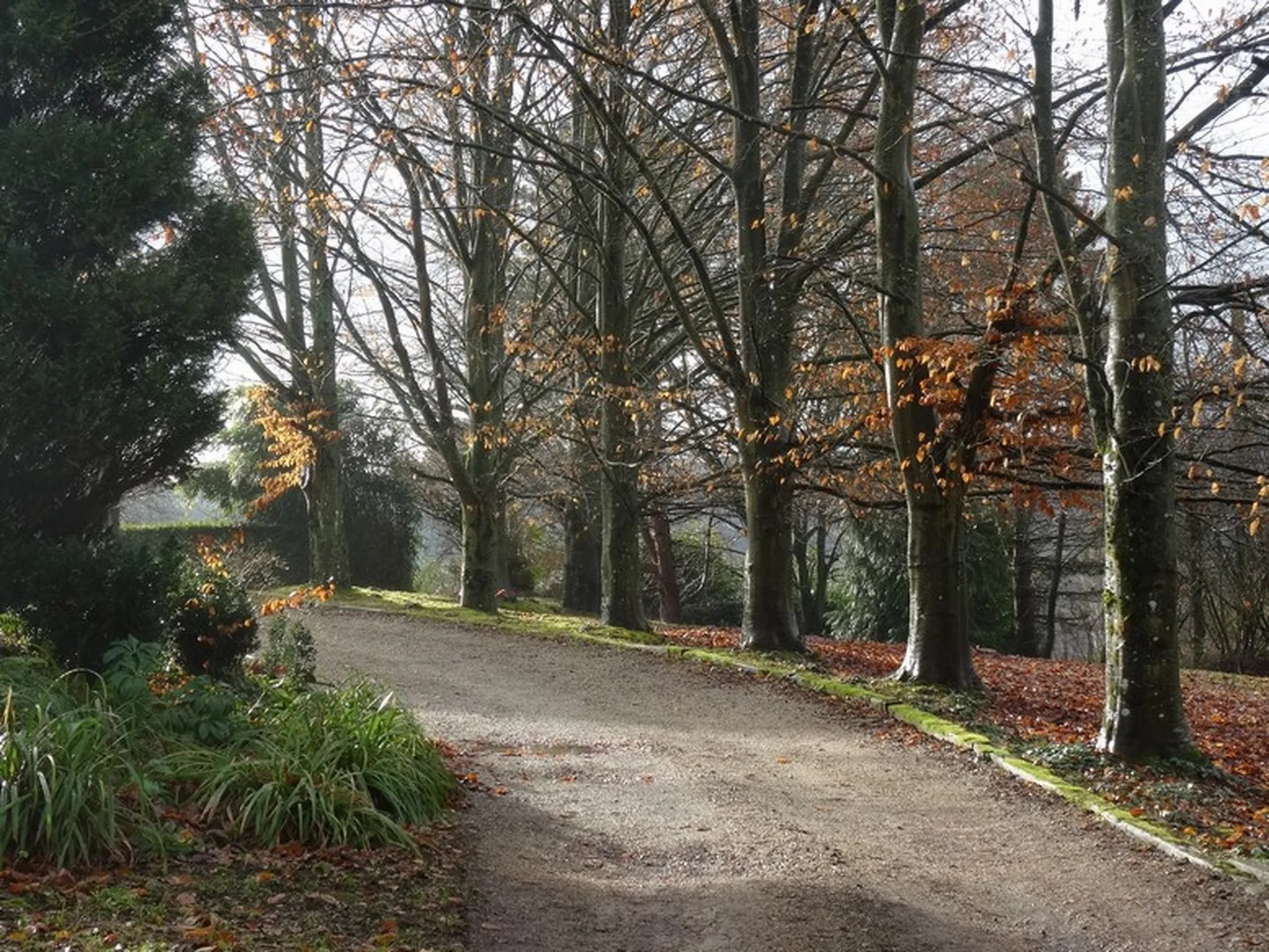 VENTE MAISON LISIEUX