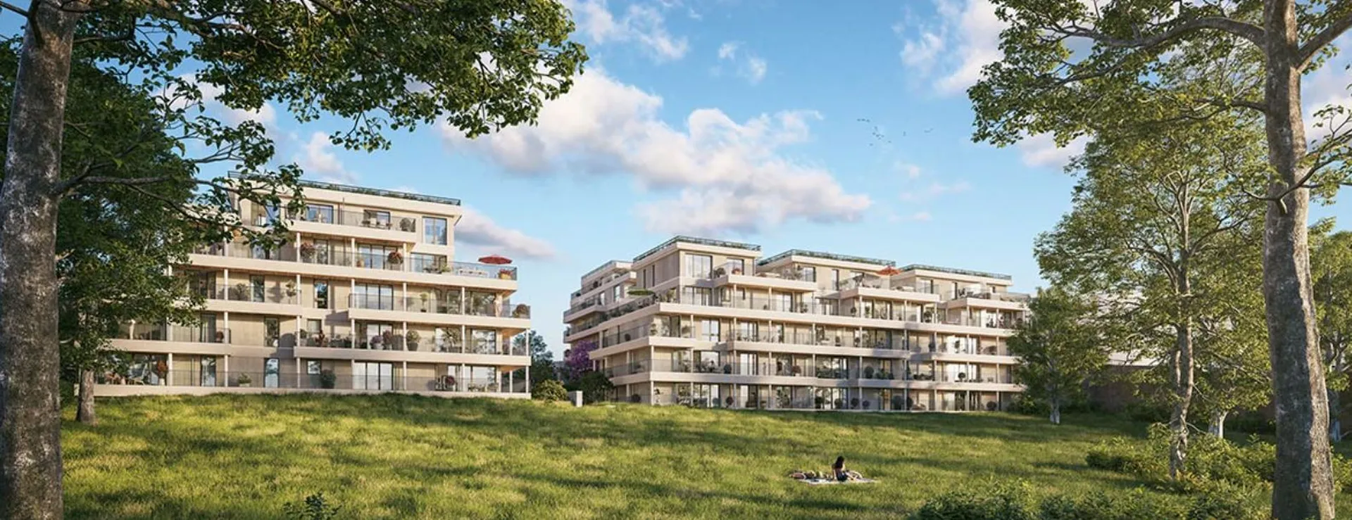 immobilier neuf