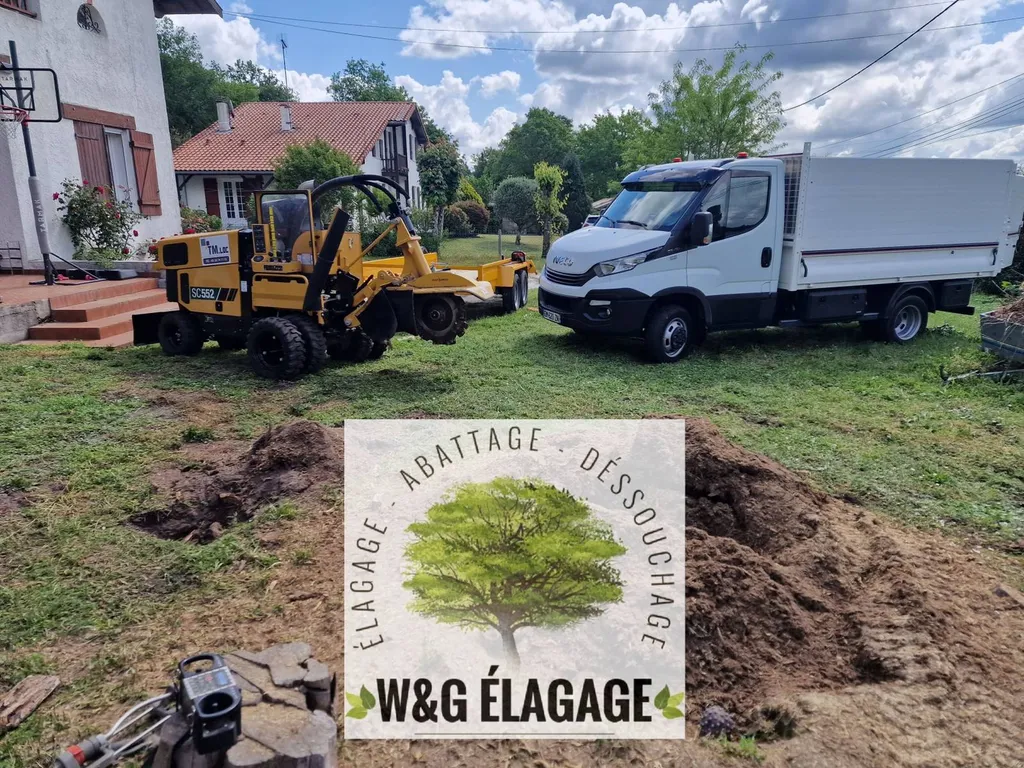 Tout savoir sur le dessouchage d'arbre à Bordeaux