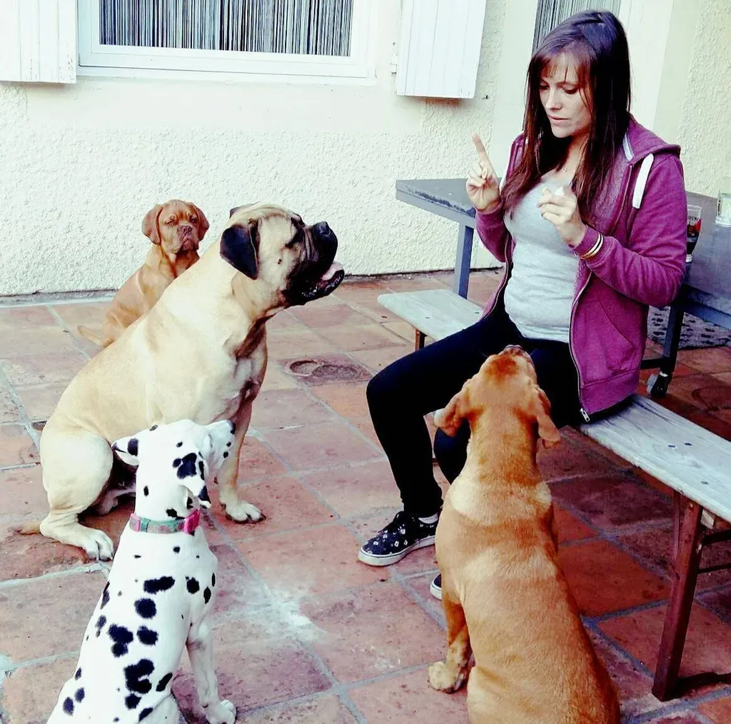paule lafon meilleur educatrice spécialisée en comportement canin gironde