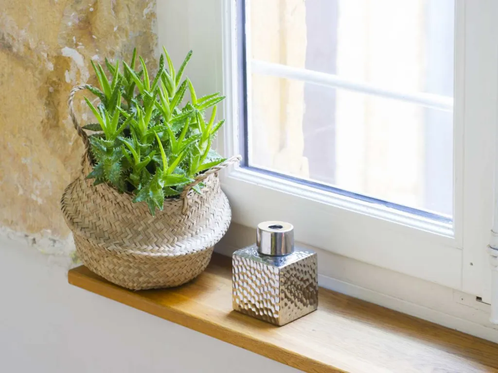 photo lifestyle pour présenter l'univers de votre marque